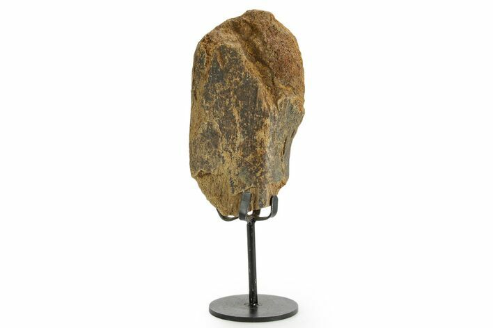 Fossil Triceratops Rib Section w/ Metal Stand - South Dakota #363619